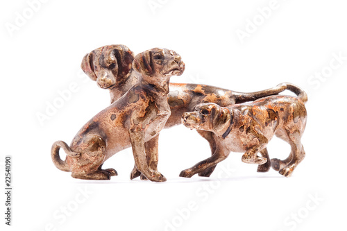 Dogs on a white background