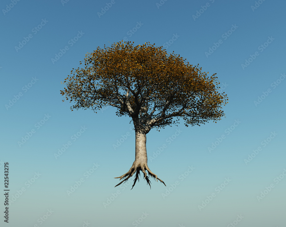 Árbol suspendido en el aire Stock Illustration | Adobe Stock
