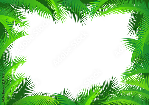 Palm leaf frame