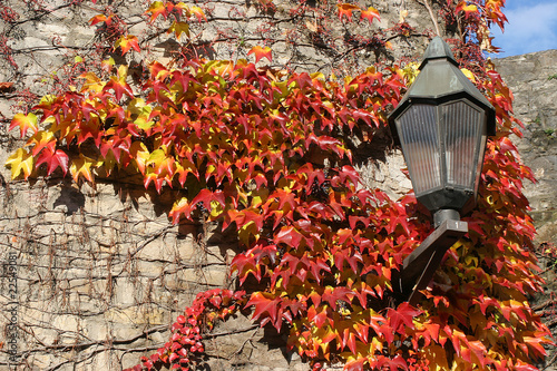 Herbstliche Laterne photo