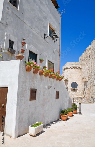 Monopoli Oldtown. Apulia.