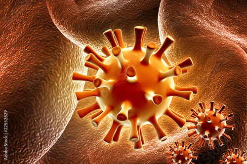 herpes virus photo