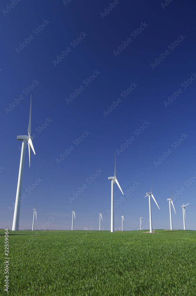 windmills