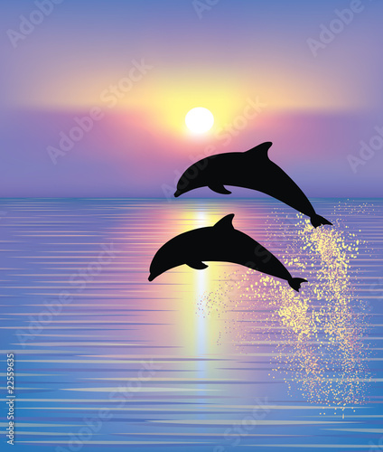 Dolphins.