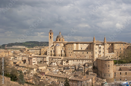 Urbino photo