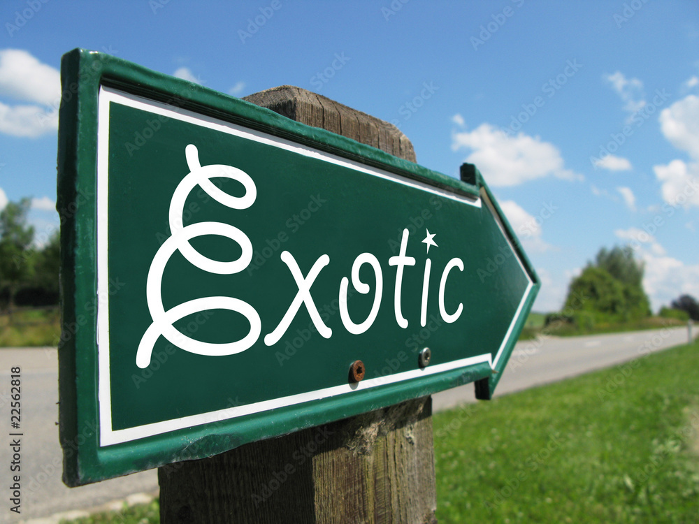 Fototapeta premium EXOTIC road sign