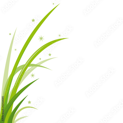 Végétation luxuriante, hautes herbes sur fond blanc