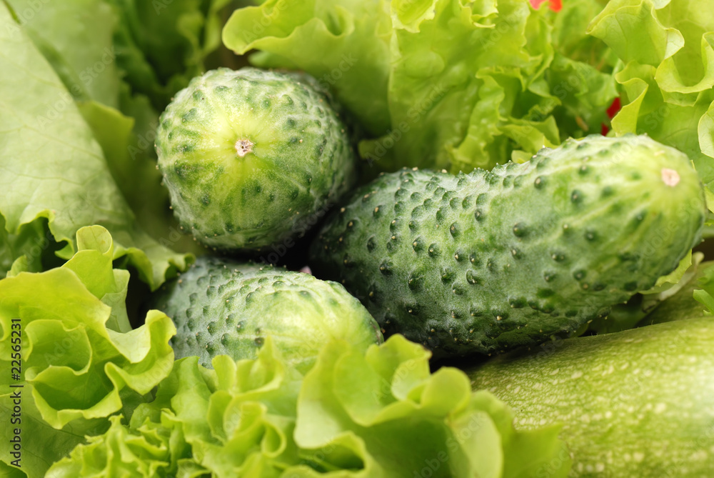 Fototapeta premium Composition from cucumbers and other vegetables