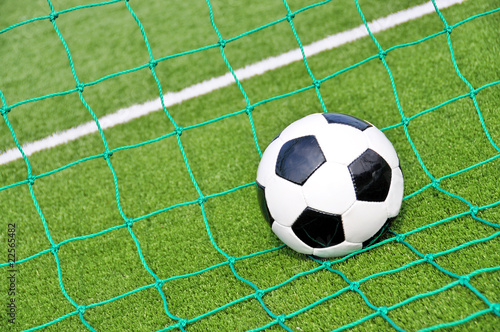 Soccer ball in the goal net