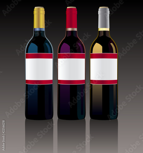 Vector illustration of three wine bottles with blank labels