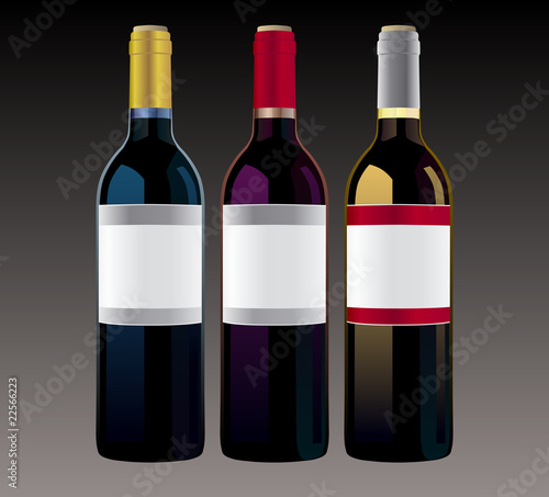 Vector illustration of three wine bottles with blank labels