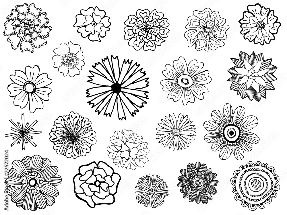 set of cute vector doodle flowers