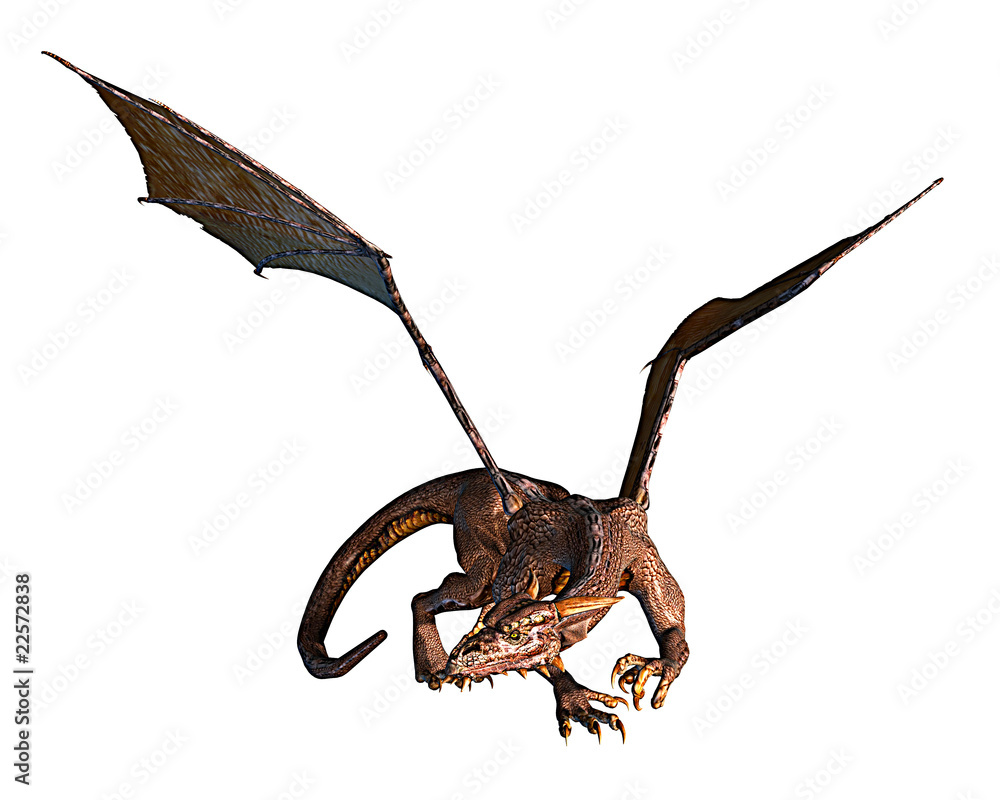 dragon flying sliiping