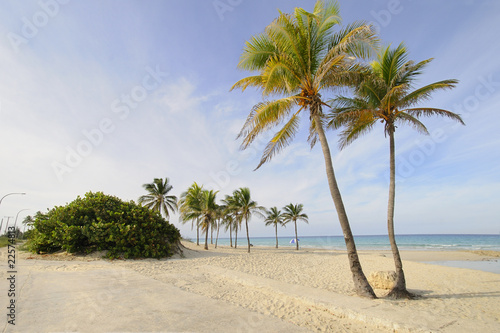 Tropical beach paradise - Santa Maria  east Havana  cuba.