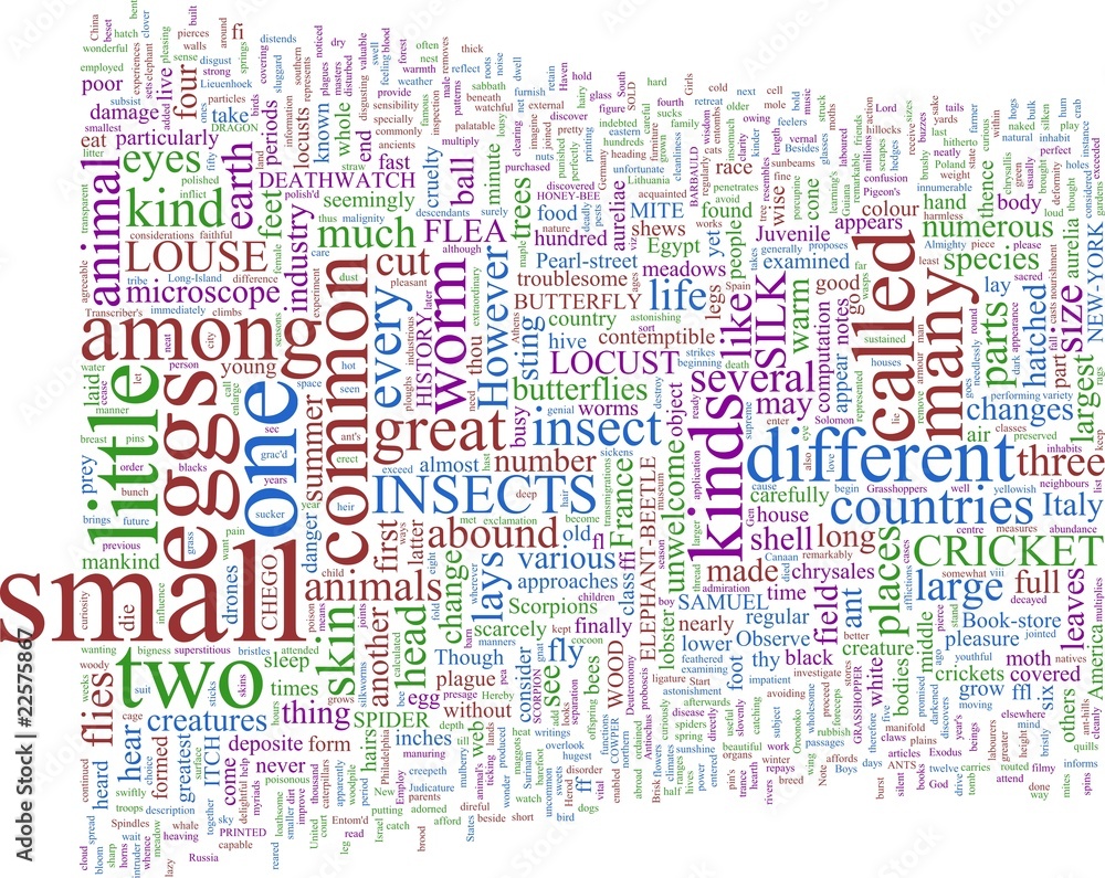Word Cloud - Insects