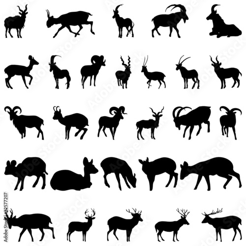 deer and goats silhouettes set