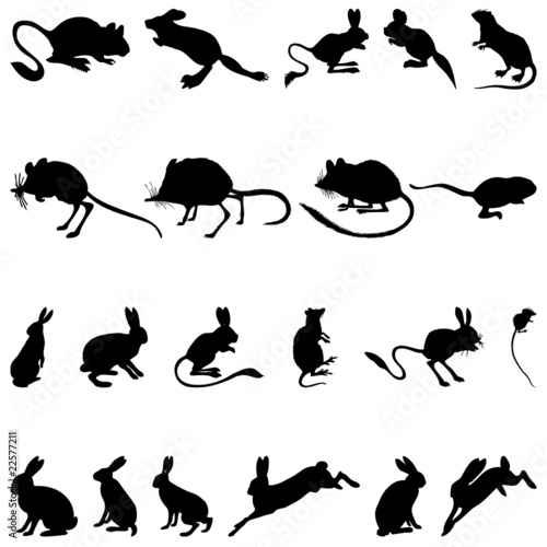 Collection of rodents silhouettes