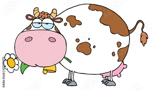 Chubby Dairy Cow Snacking On A Flower