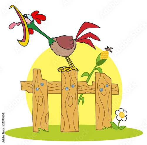 Loud Rooster On A Wood Fence By A Corn Stalk
