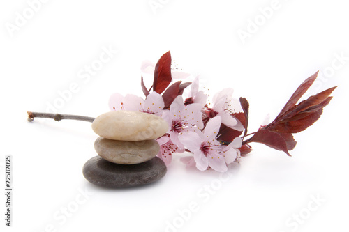 Photography Zen