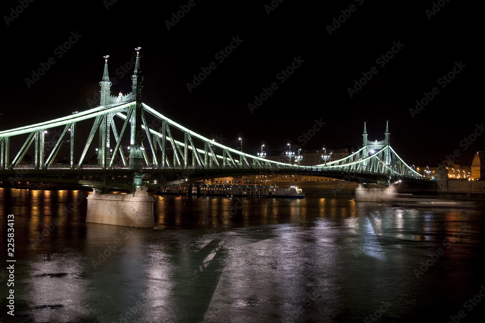 Fototapeta premium liberty bridge in budapest by night
