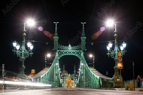 liberty bridge in budapest by night