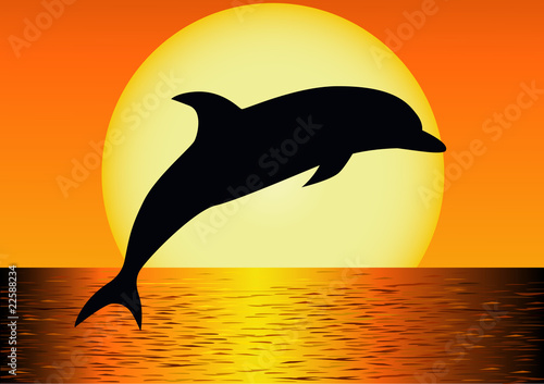 Dolphin silhouette