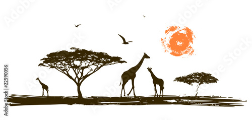 African landscape, Savannah desert banner with giraffe