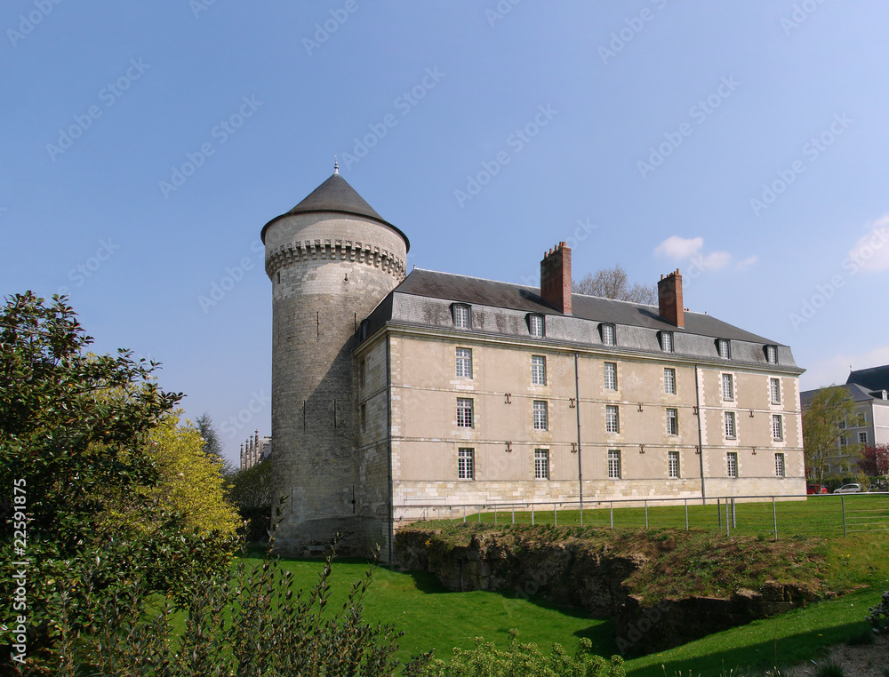 Fototapeta premium Le château de Tours