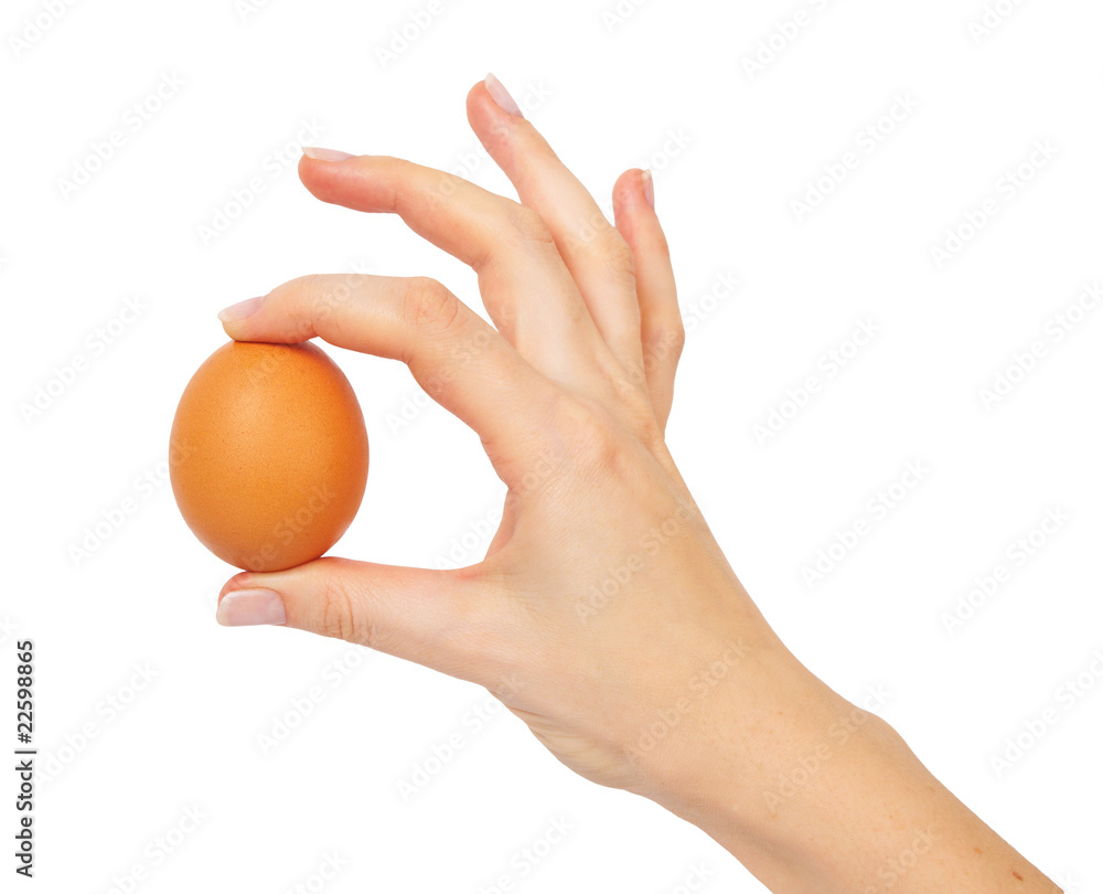 Hand holding a brown egg
