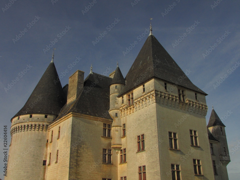 Château Des Bories ; Périgord Blanc ; Aquitaine
