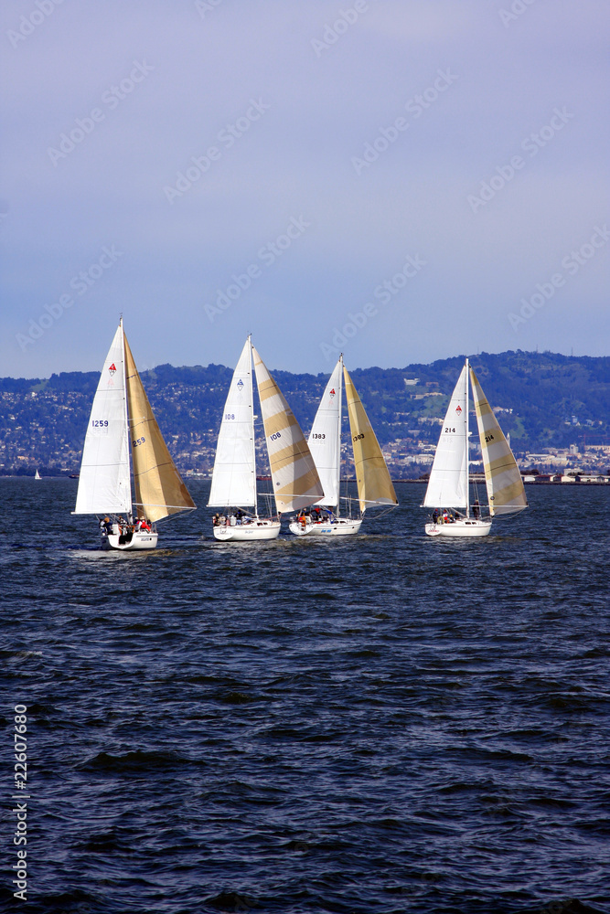 Fototapeta premium Sailing in San Francisco Bay