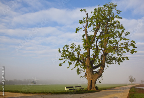 lindenbaum photo