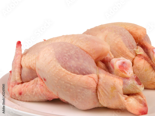 Fresh raw Chicken