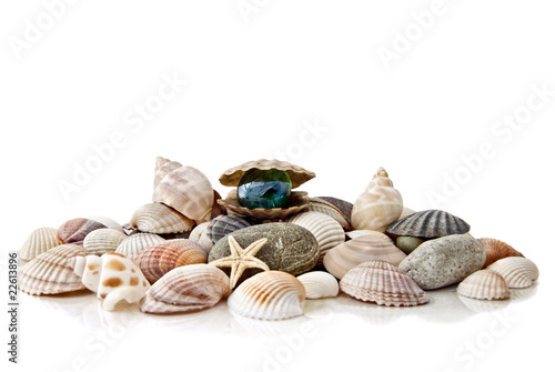 various color shells with stylized pearl isolated on white