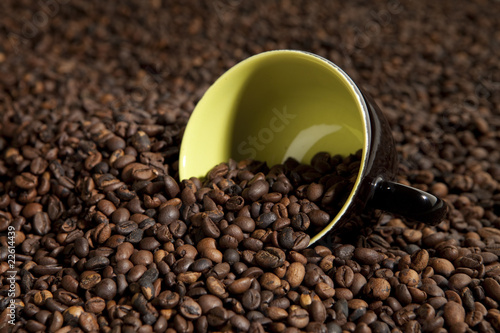 Cup in coffee beans