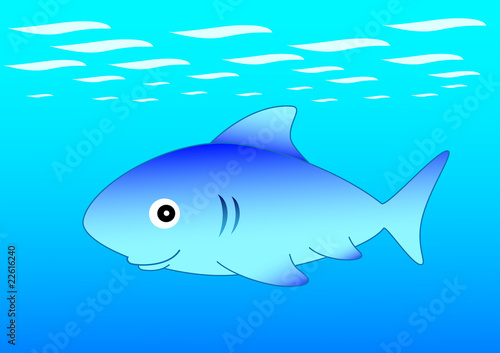 Blue shark