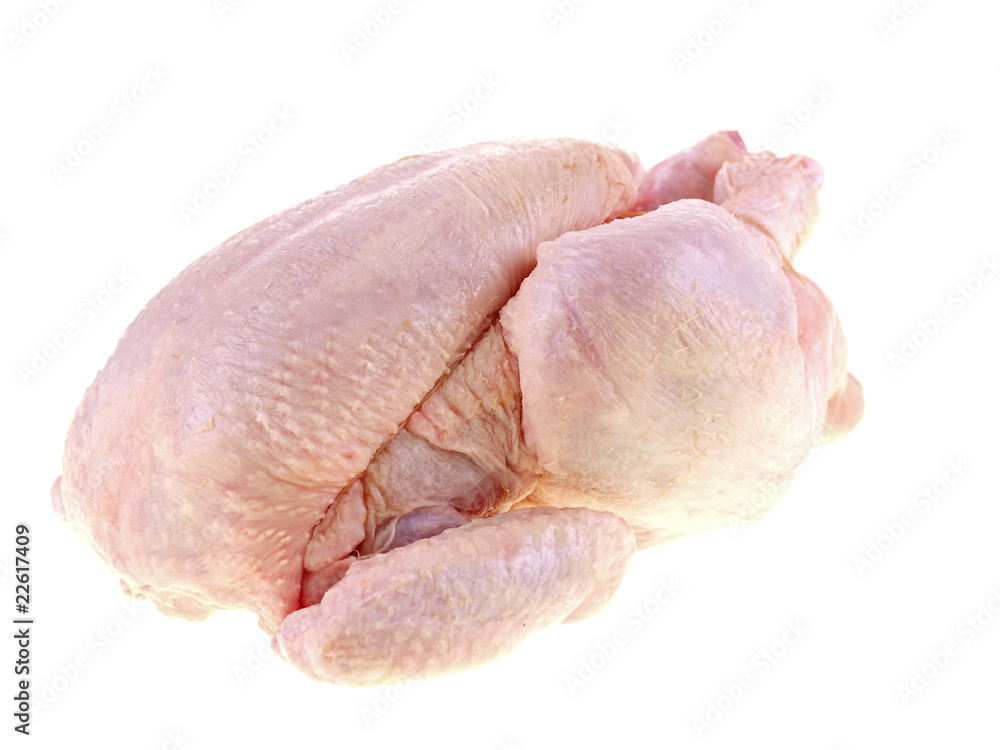 fresh raw whole chicken isolated on white background fresh raw whole chicken isolated on white background