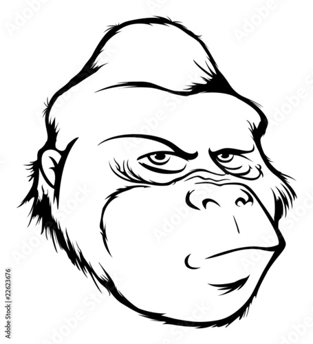 gorilla head outline