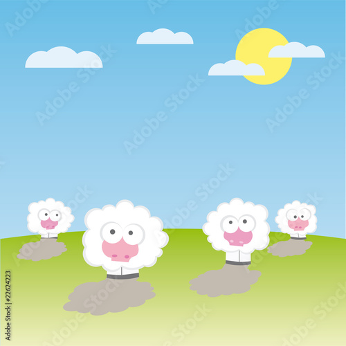 Sheeps on the field vector illustration cartoon