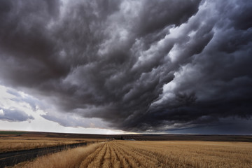 Keuken achterwand Onweer Herfststorm met dwarrelende bladeren  © Kushnirov Avraham