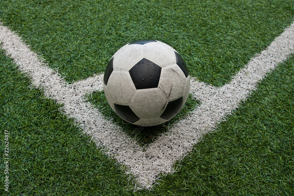 Fake grass soccer field Fake grass soccer field