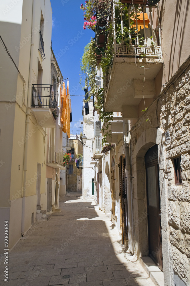 Alley in Palo del Colle Oldtown. Apulia.