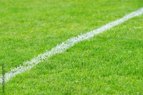 Fußball Seitenlinie diagonal - Soccer Grass