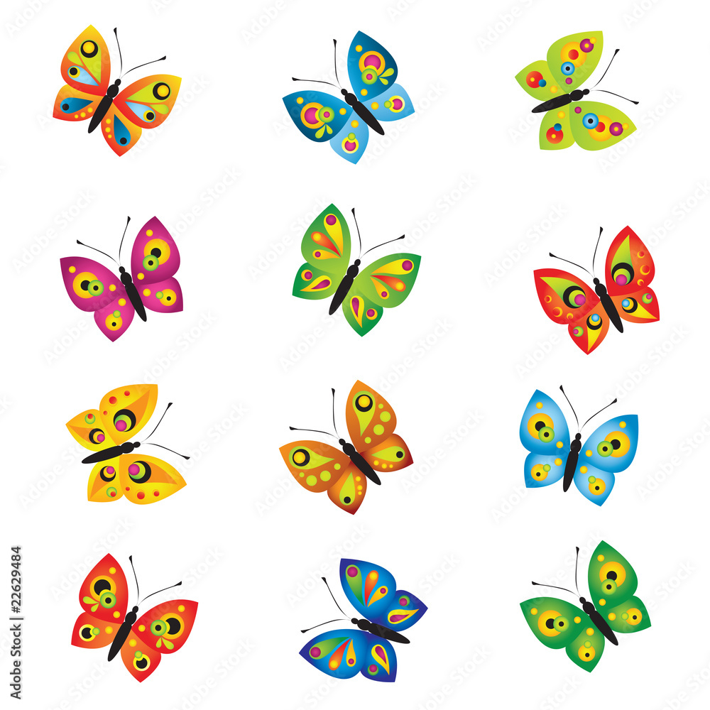 Butterflies Butterflies