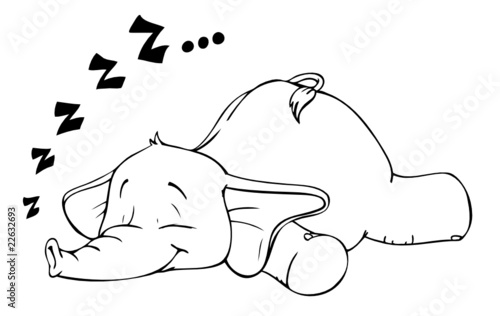 Elefant, schlafen, Schlaf, schnarchen, träumen