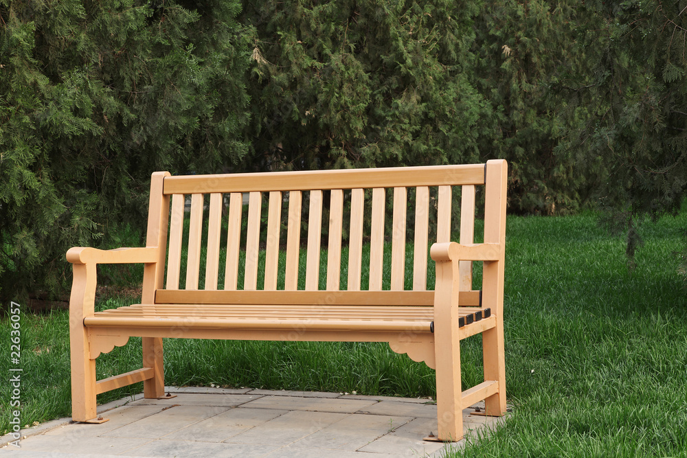 Bench in a green park