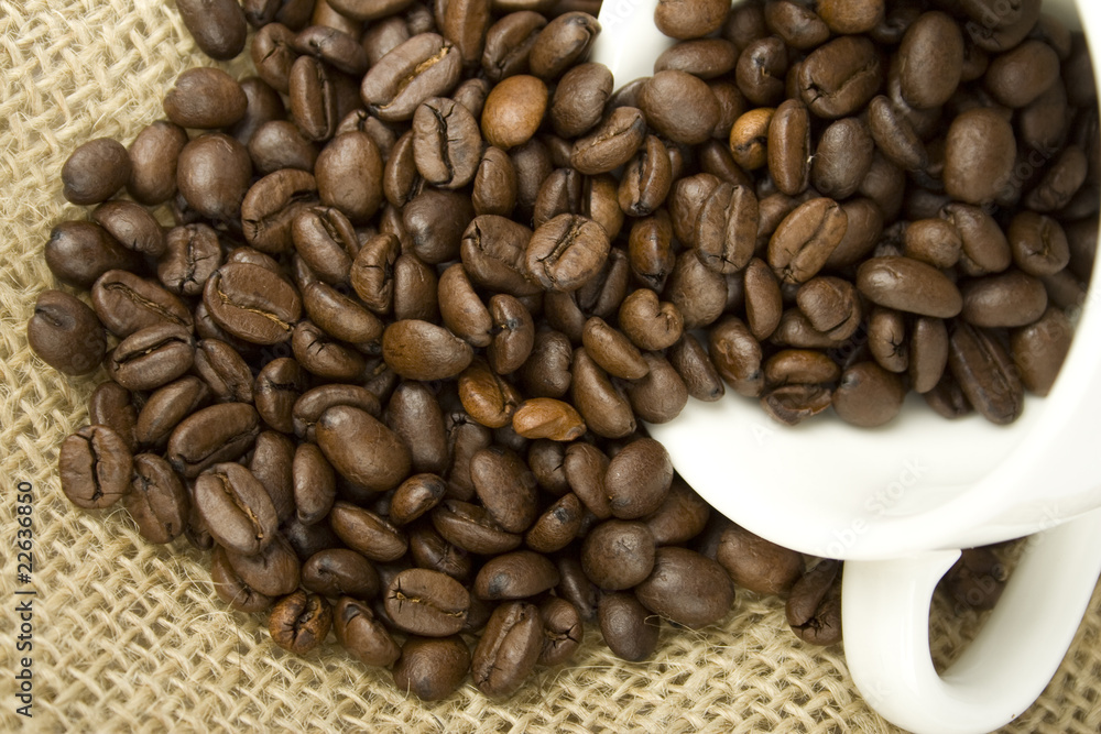 Fototapeta premium Coffee Beans