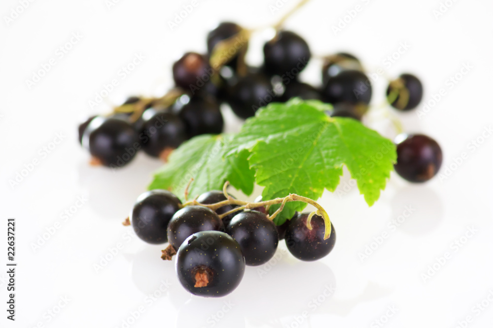 Black currant Black currant