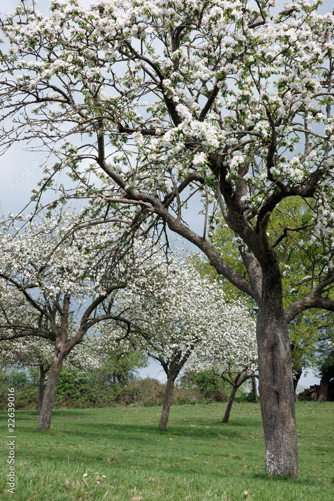 Paysage campagne 24